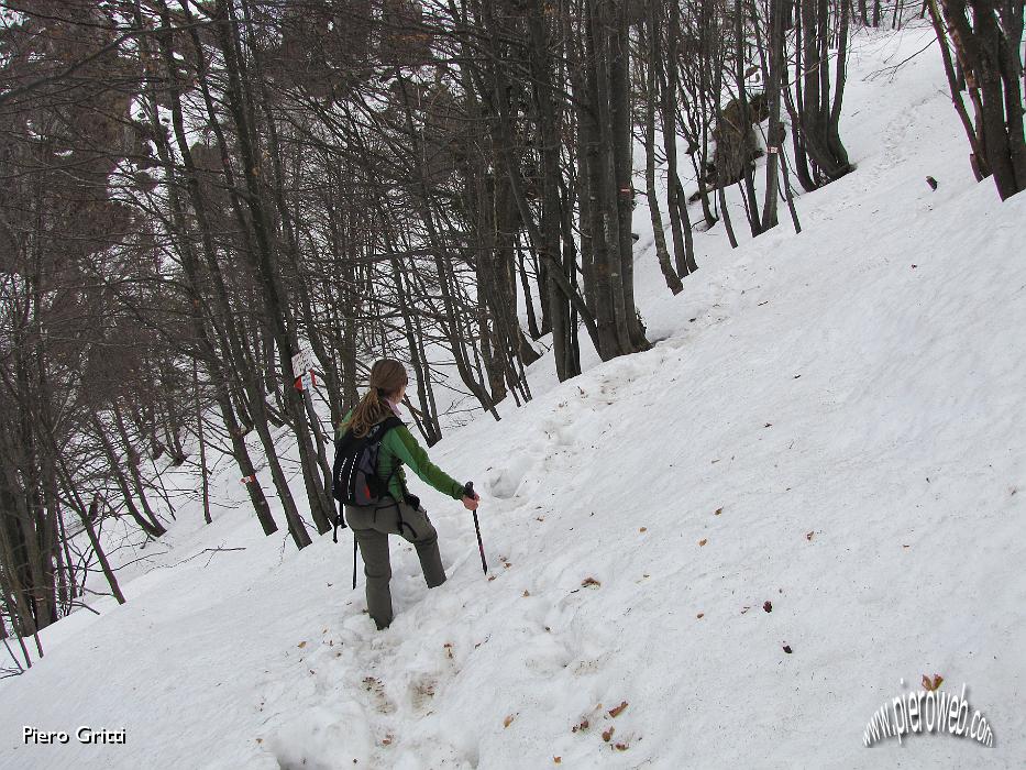 60 Passaggio su neve.jpg